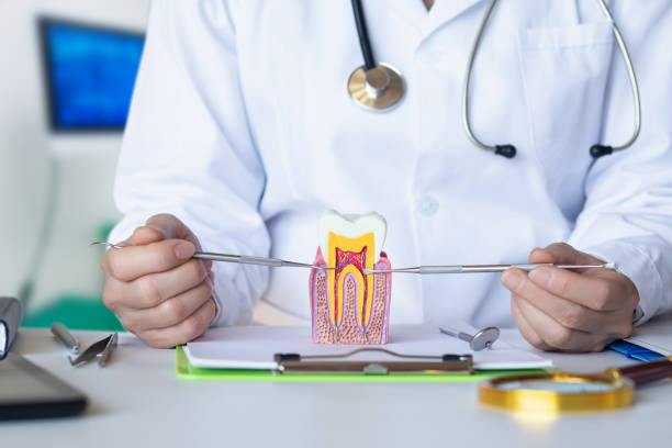 Best Emergency Treatment for Toothache in Soh Willard, UT